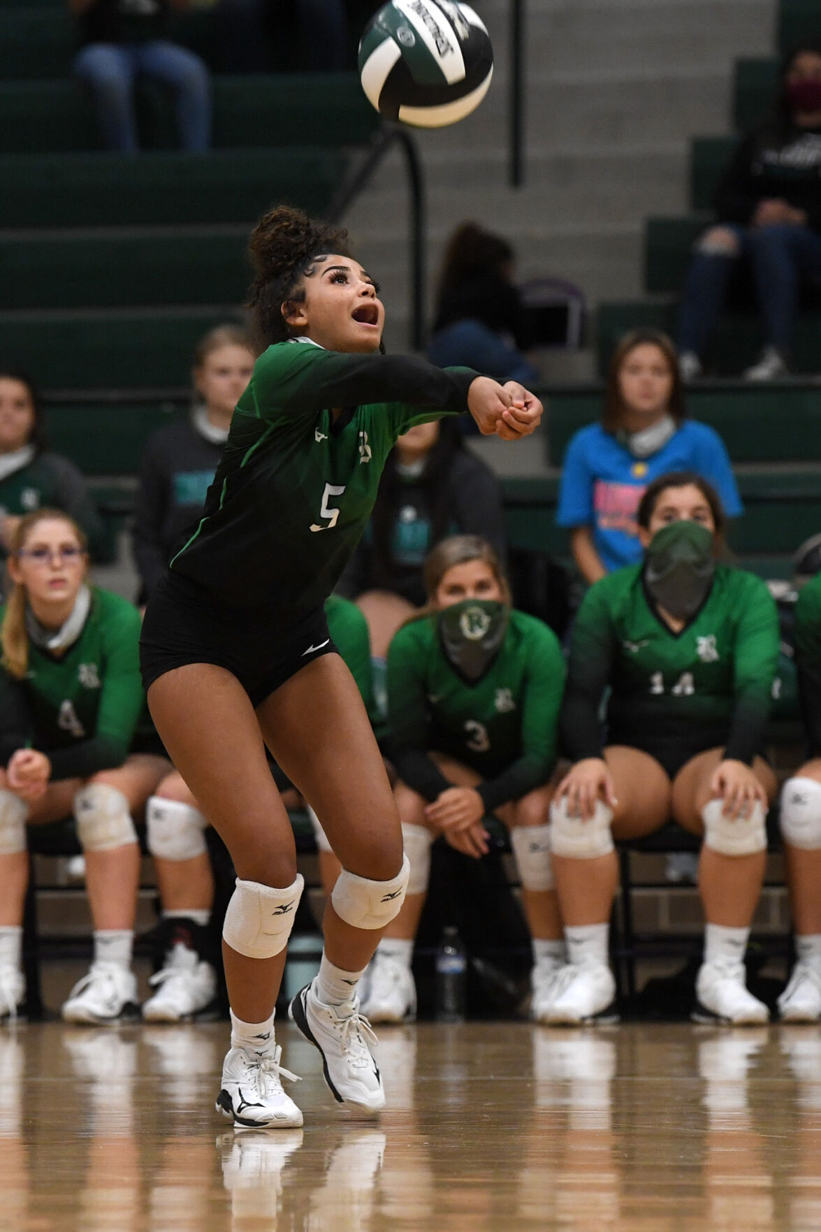 Rudder vs. Magnolia West